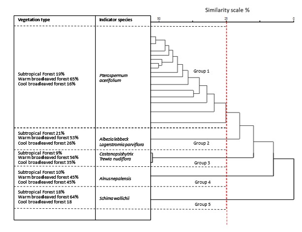 Forest Dynamics Analysis