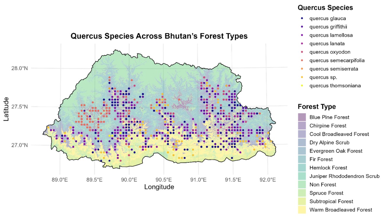 Quercus Species Distribution